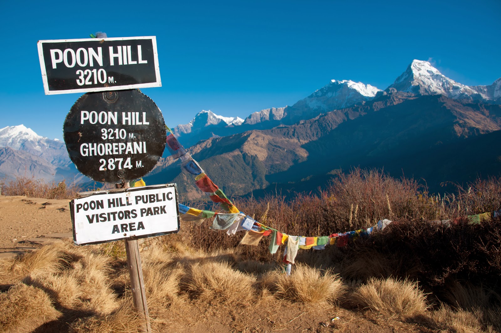 Ghorepani- Poon Hill Trek
